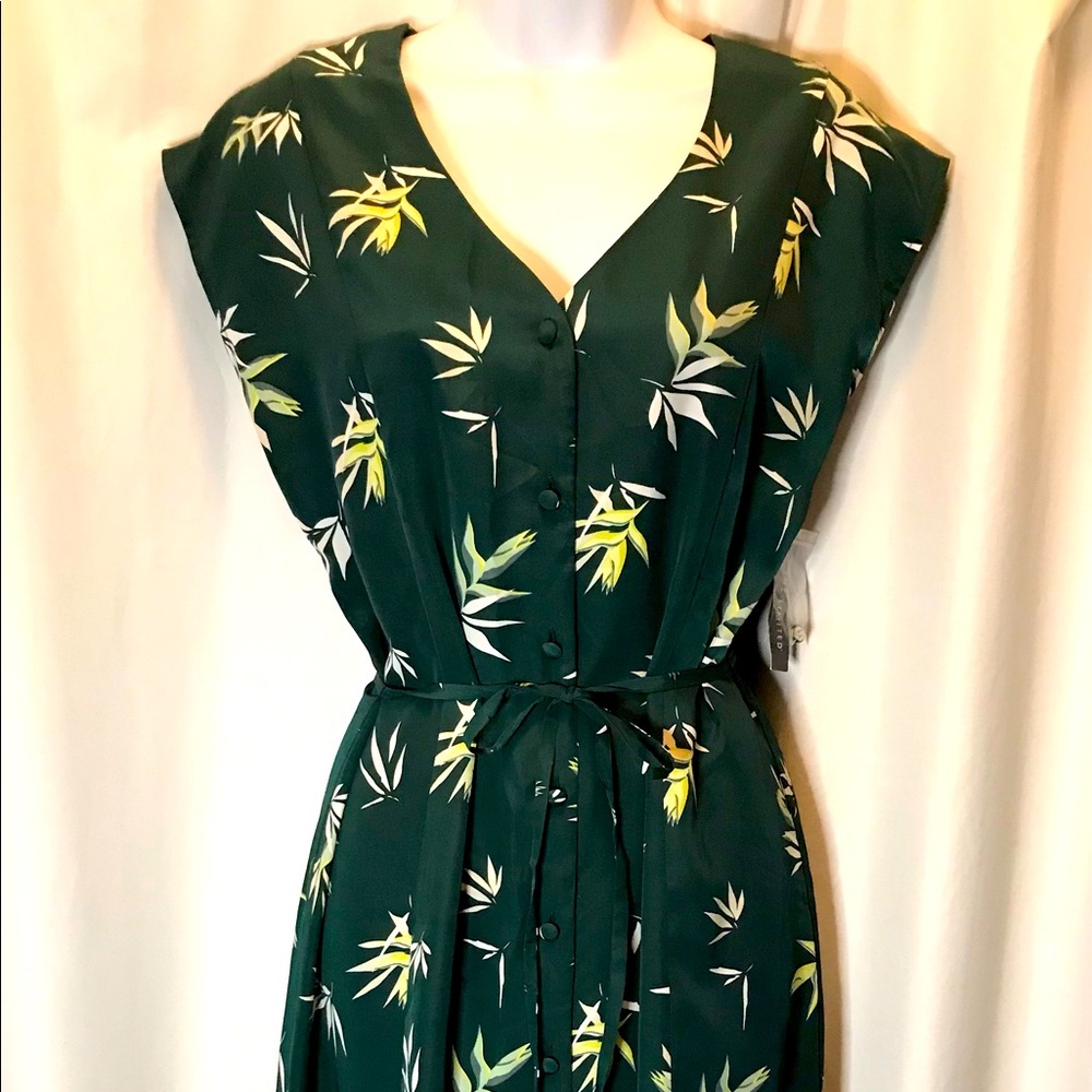 NWT Green Bird Of Paradise Dress by The Limited in Size Petite Medium